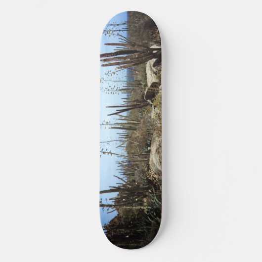 Aruba-landschap met cactus skateboard (Voorkant)