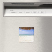 Aruba Magneet (Insitu (Vaatwasser))