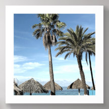 Aruba Palmen en strand Palapa Hutten