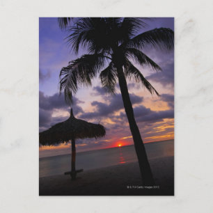Aruba, silhouet van palmbomen en palapa briefkaart