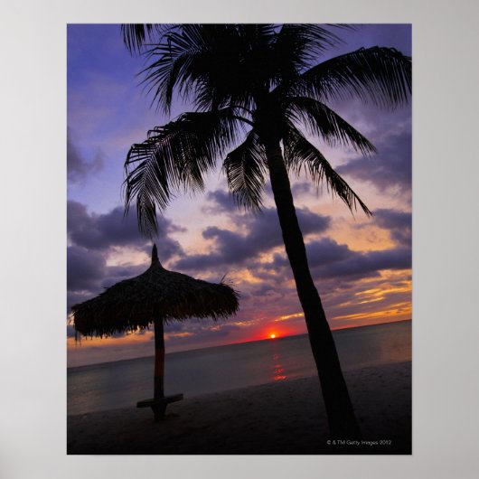 Aruba, silhouet van palmbomen en palapa poster (Voorkant)