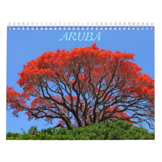 Aruba une île heureuse calendrier (Protection)