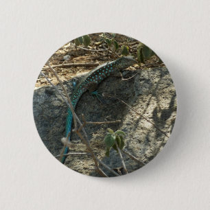 Arubaanse Zweepslanghagedis Tropische Dierenfotogr Ronde Button 5,7 Cm