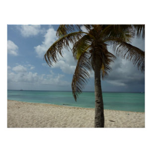 Aruban Beach I Beauful Natuur Scene Perfect Poster