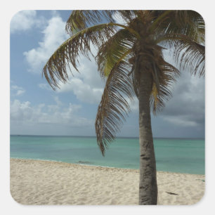 Aruban Beach I Beauful Natuur Scene Vierkante Sticker