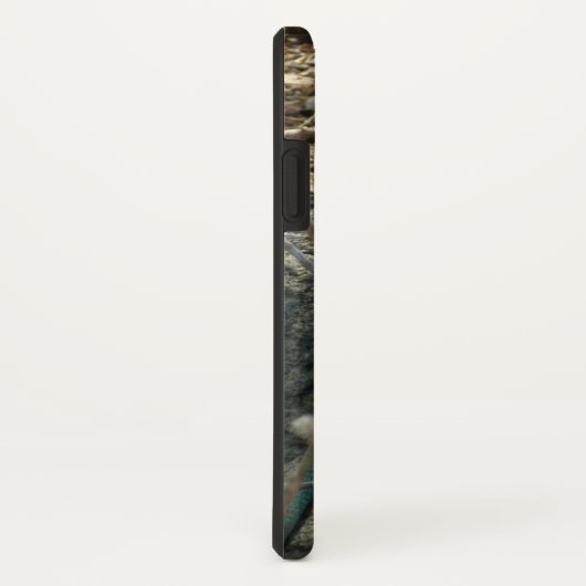 Aruban Whiptail Lizard tropische dierfotografie Case-Mate iPhone Case (Achterkant / rechts)