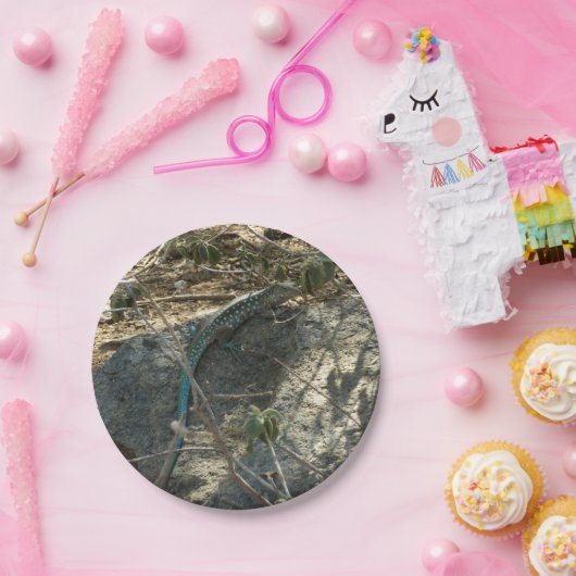 Aruban Whiptail Lizard tropische dierfotografie Papieren Bordje (Feest)