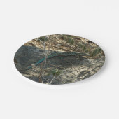 Aruban Whiptail Lizard tropische dierfotografie Papieren Bordje (Gekanteld)