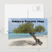 Aruba's briefkaart van de Divi-divi-boom (Voorkant / Achterkant)