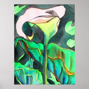 Arum Lily waterverf originele kunst schilderij Poster