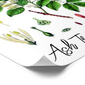 Asboom botanische illustratie poster (Hoek)