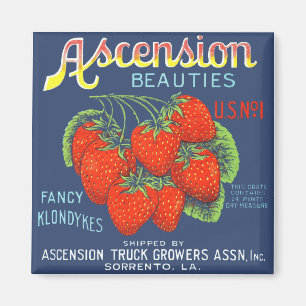 Ascension Beauties aardbeien Magnet Magneet
