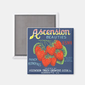 Ascension Beauties Strawberries Magnet Magneet (Voorkant / Achterkant)