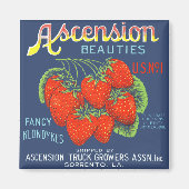 Ascension Beauty Strawberries Magnet (Devant)