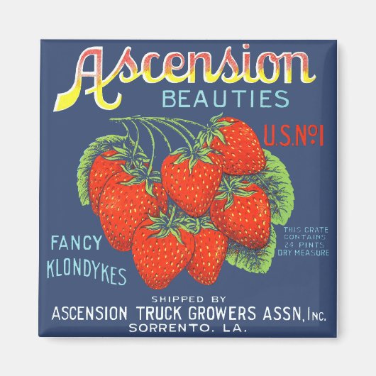 Ascension Beauty Strawberries Magnet (Devant)