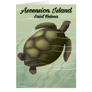 Ascension Island Zee Turtle