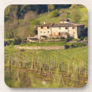 Aschuito, een werkzaam boerderij dat gasten accept drankjes onderzetter