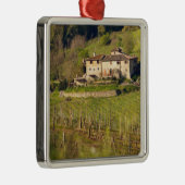 Aschuito, een werkzaam boerderij dat gasten accept metalen ornament (Rechts)