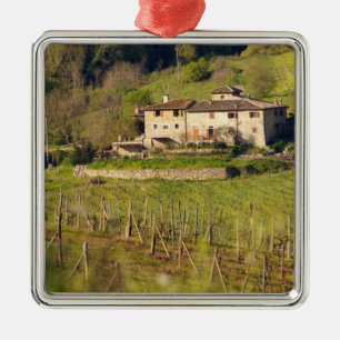 Aschuito, een werkzaam boerderij dat gasten accept metalen ornament