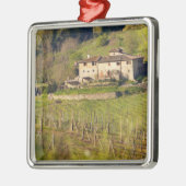 Aschuito, een werkzaam boerderij dat gasten accept metalen ornament (Links)