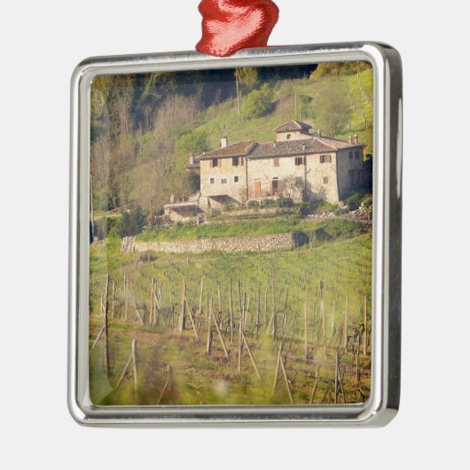 Aschuito, een werkzaam boerderij dat gasten accept metalen ornament (Links)