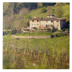Aschuito, een werkzaam boerderij dat gasten accept tegeltje