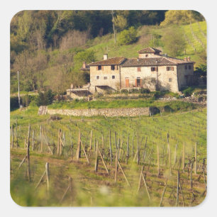 Aschuito, een werkzaam boerderij dat gasten accept vierkante sticker