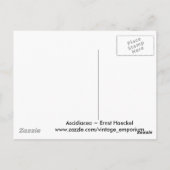 Ascidiacea Briefkaart (Achterkant)