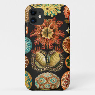 Ascidiae, Seescheiden Mariene Levensvormen door Er iPhone 11 Hoesje