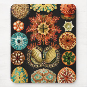 Ascidiae, Seescheiden Marine Life van Ernst Haecke Muismat