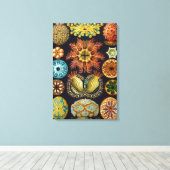 Ascidiae van Ernst Haeckel, zeedieren Canvas Afdruk (Insitu (Houten vloer))