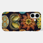 Ascidiae van Ernst Haeckel, zeedieren Case-Mate iPhone Case (Achterkant (horizontaal))