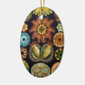 Ascidiae van Ernst Haeckel,  zeedieren Keramisch Ornament (Links)