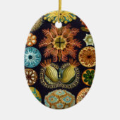 Ascidiae van Ernst Haeckel,  zeedieren Keramisch Ornament (Voorkant)