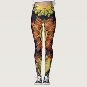 Ascidiae van Ernst Haeckel,  zeedieren Leggings