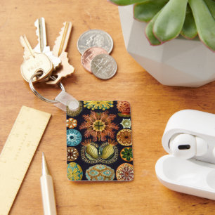 Ascidiae van Ernst Haeckel, zeedieren Sleutelhanger