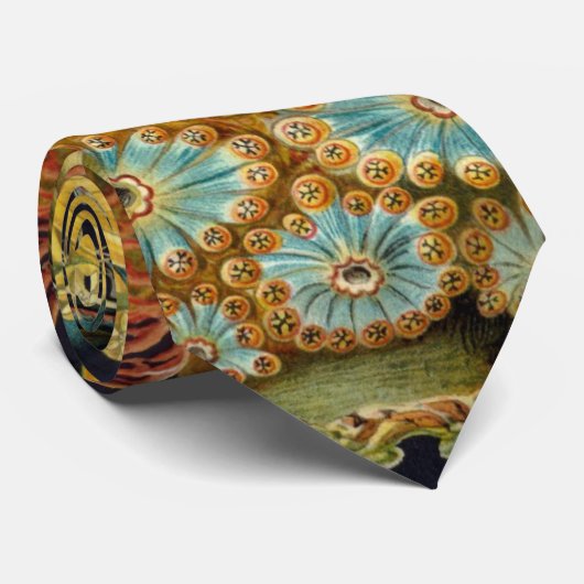 Ascidiae van Ernst Haeckel, zeedieren Stropdas (Opgerold)