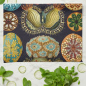 Ascidiae van Ernst Haeckel,  zeedieren Theedoek (Gevouwen)