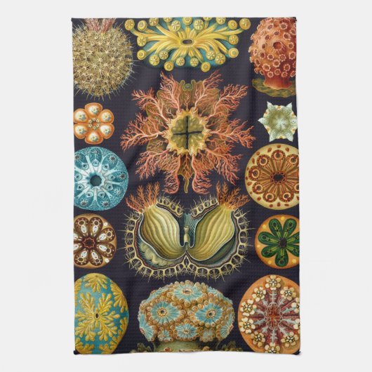 Ascidiae van Ernst Haeckel,  zeedieren Theedoek (Verticaal)