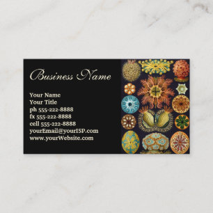 Ascidiae van Ernst Haeckel,  zeedieren Visitekaartje