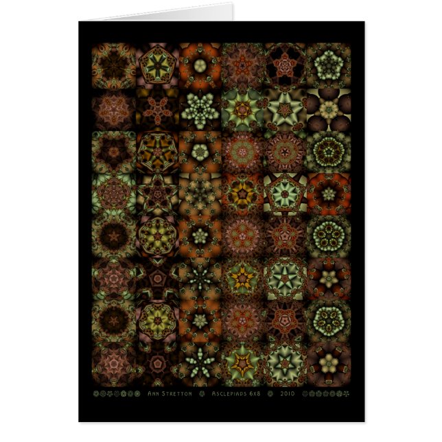 Asclepiads 6x8 (Devant)