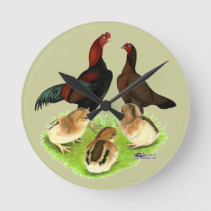 Aseel Black Red Chicken Family Ronde Klok