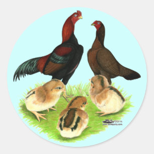 Aseel Black Red Chicken Family Ronde Sticker