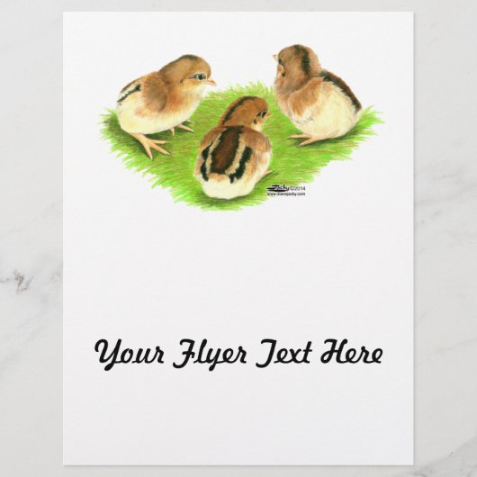 Aseel Black Red Chicken Flyer (Voorkant)