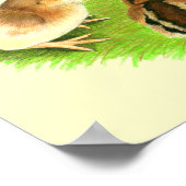 Aseel Black Red Chicken Poster (Hoek)