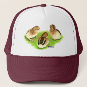Aseel Black Red Chicken Trucker Pet