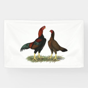 Aseel Black Red Kippen Spandoek