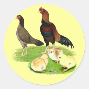 Aseel Tarwe Kip Familie Ronde Sticker