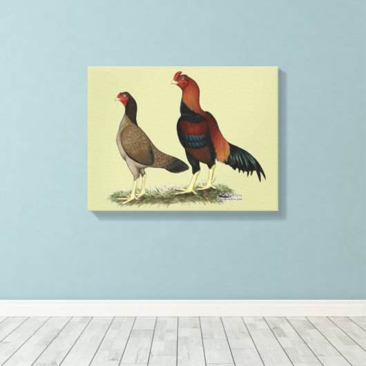 Aseel Wheaten Kippen Canvas Afdruk (Insitu (Houten vloer))