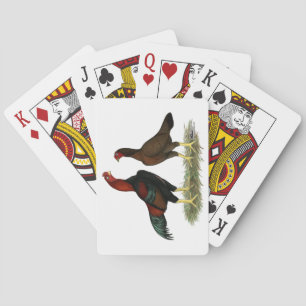 Aseel Zwarte Rode Kippen Pokerkaarten